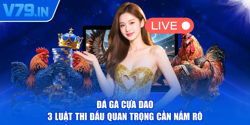 Đá Gà Cựa Dao - 3 Luật Thi Đấu Quan Trọng Cần Nắm Rõ