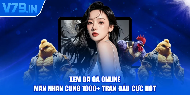 Xem Đá Gà Online - Mãn Nhãn Cùng 1000+ Trận Đấu Cực Hot